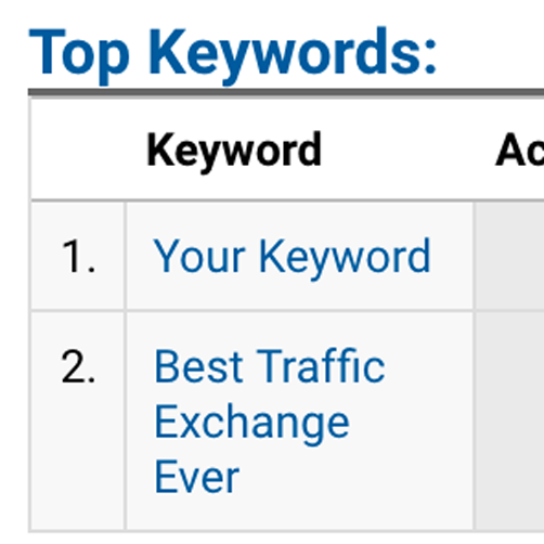 Website Traffic Exchange